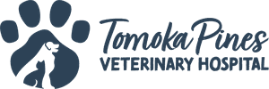Ormond Beach Vet logo