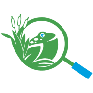 Outdoor Discovery logo