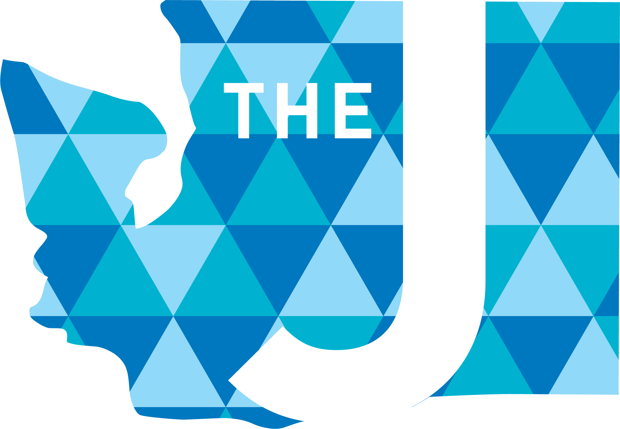 Stroum Jewish Community Center logo