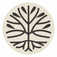 Aligned Modern Health logo