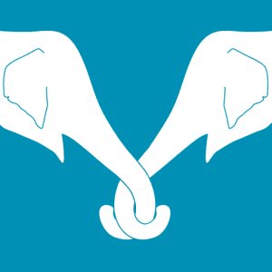 Namaste Health logo