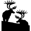 The Wildlife Gallery logo