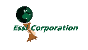 ESSI logo