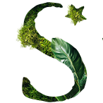 Starwood Hotels logo
