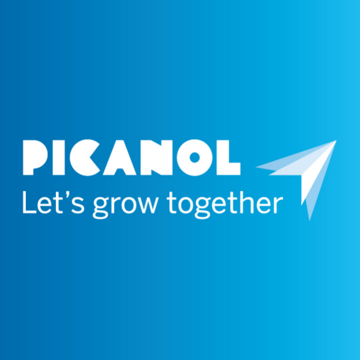 Picanol Group logo