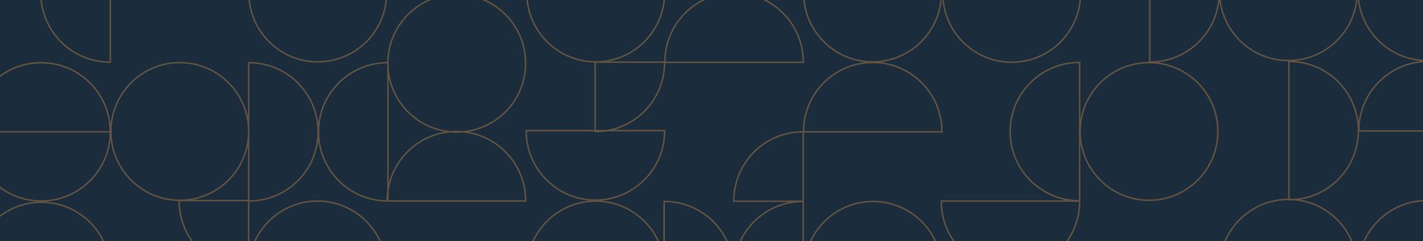 Buddle Findlay logo