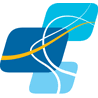 BGF Industries logo