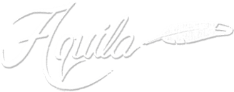 Aquila of Delaware logo