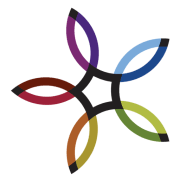 Platinum Supplemental Insurance logo