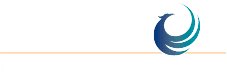 Division Laundry & Cleaners logo