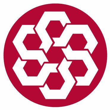 IFRS Foundation logo