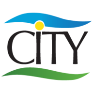 CITY Laundering Co logo