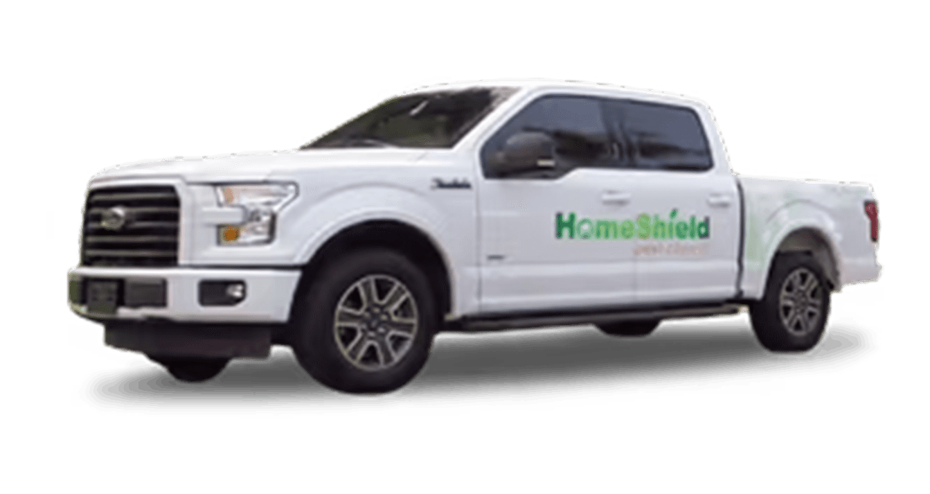 HomeShield Pest Control logo