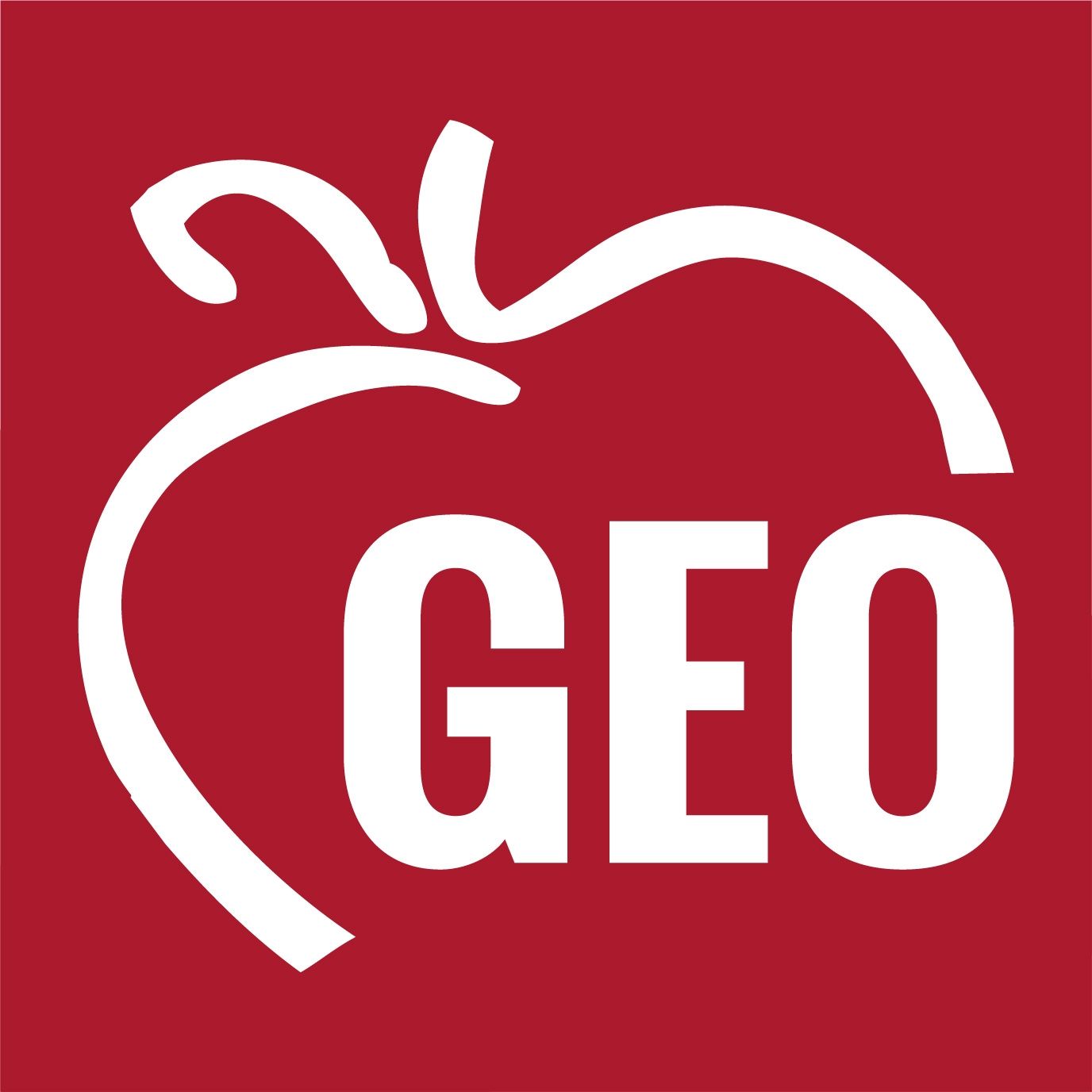 GEO Academies logo