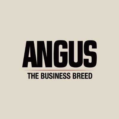 American Angus Association logo