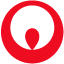 VNS Federal Services logo