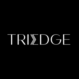TriEdge Investments logo