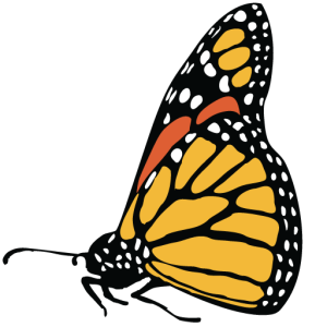 The Pizzo Group logo