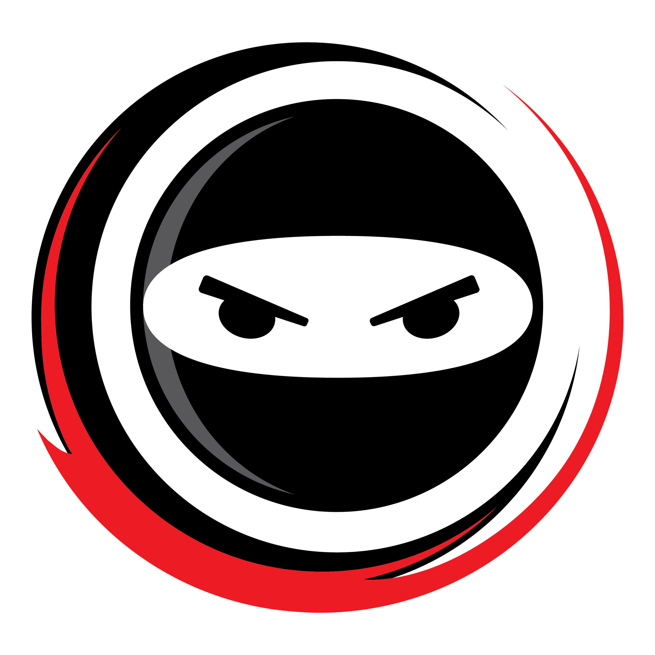 Crawl Space Ninja logo