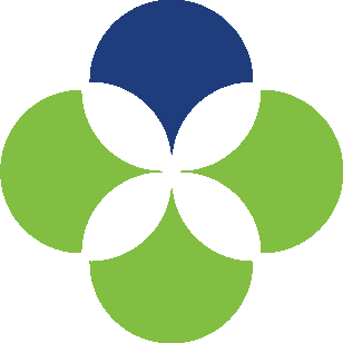 CHSGa logo