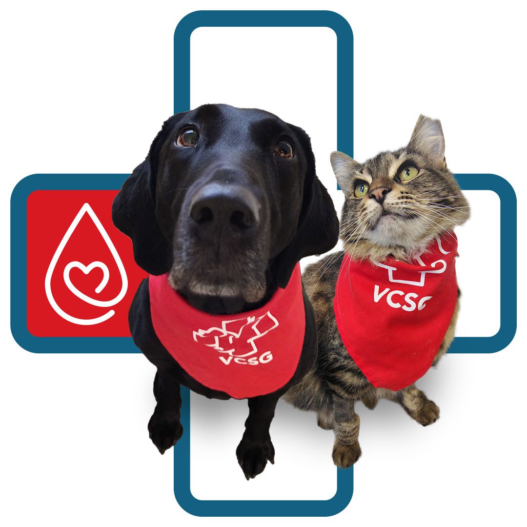 Veterinary Care and Specialty Group logo