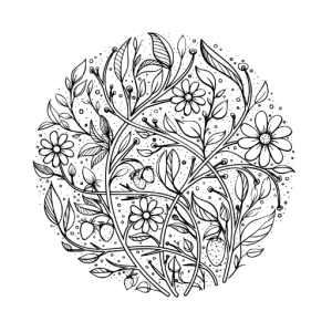 Pleasant Point Senior Living logo