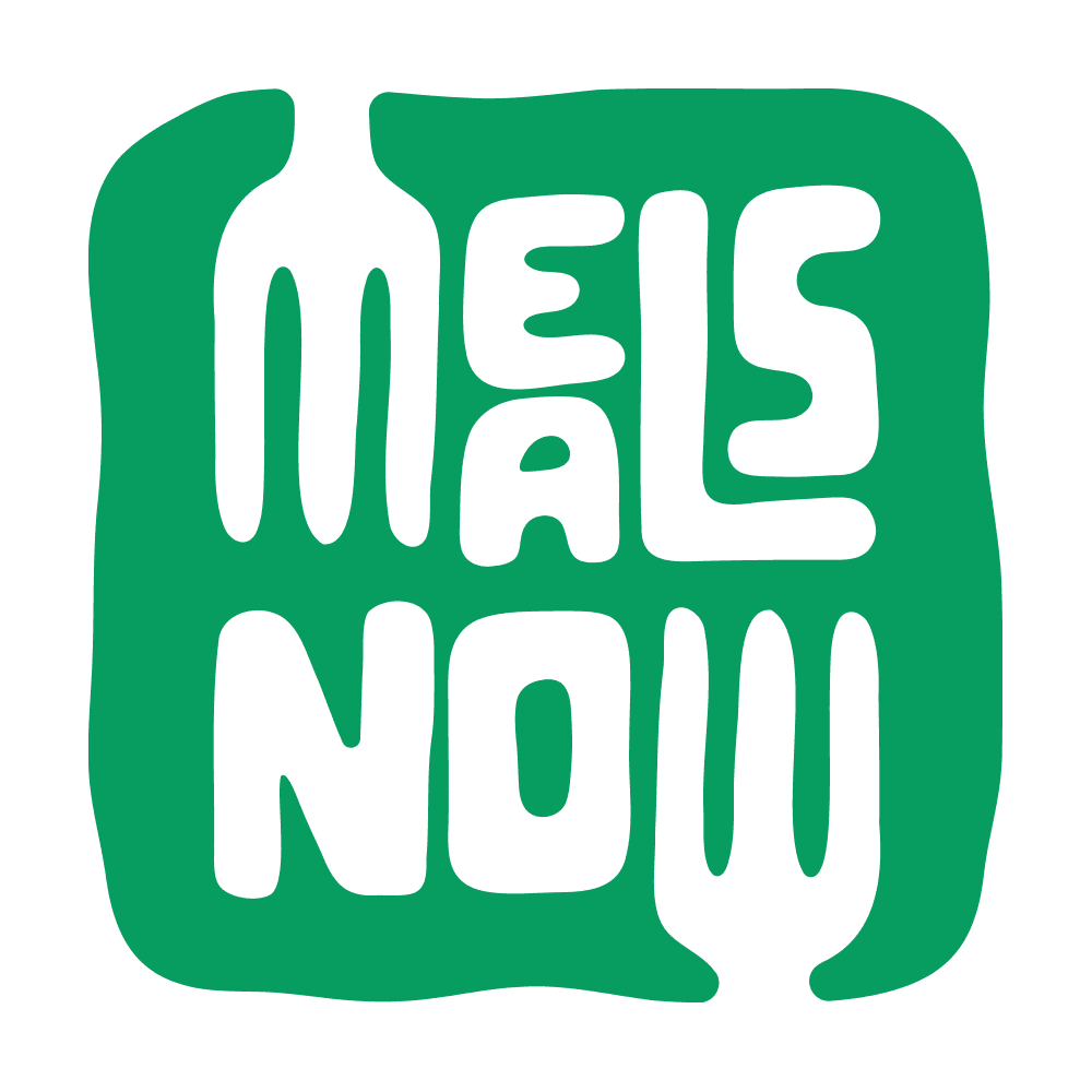 Meals Now Fleet logo