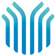Palmetto Infusion logo