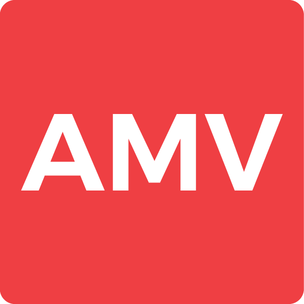 AMV Holdings logo