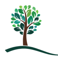 New Branches logo