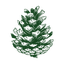 Bristlecone Companies logo