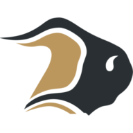 Bison Transport logo