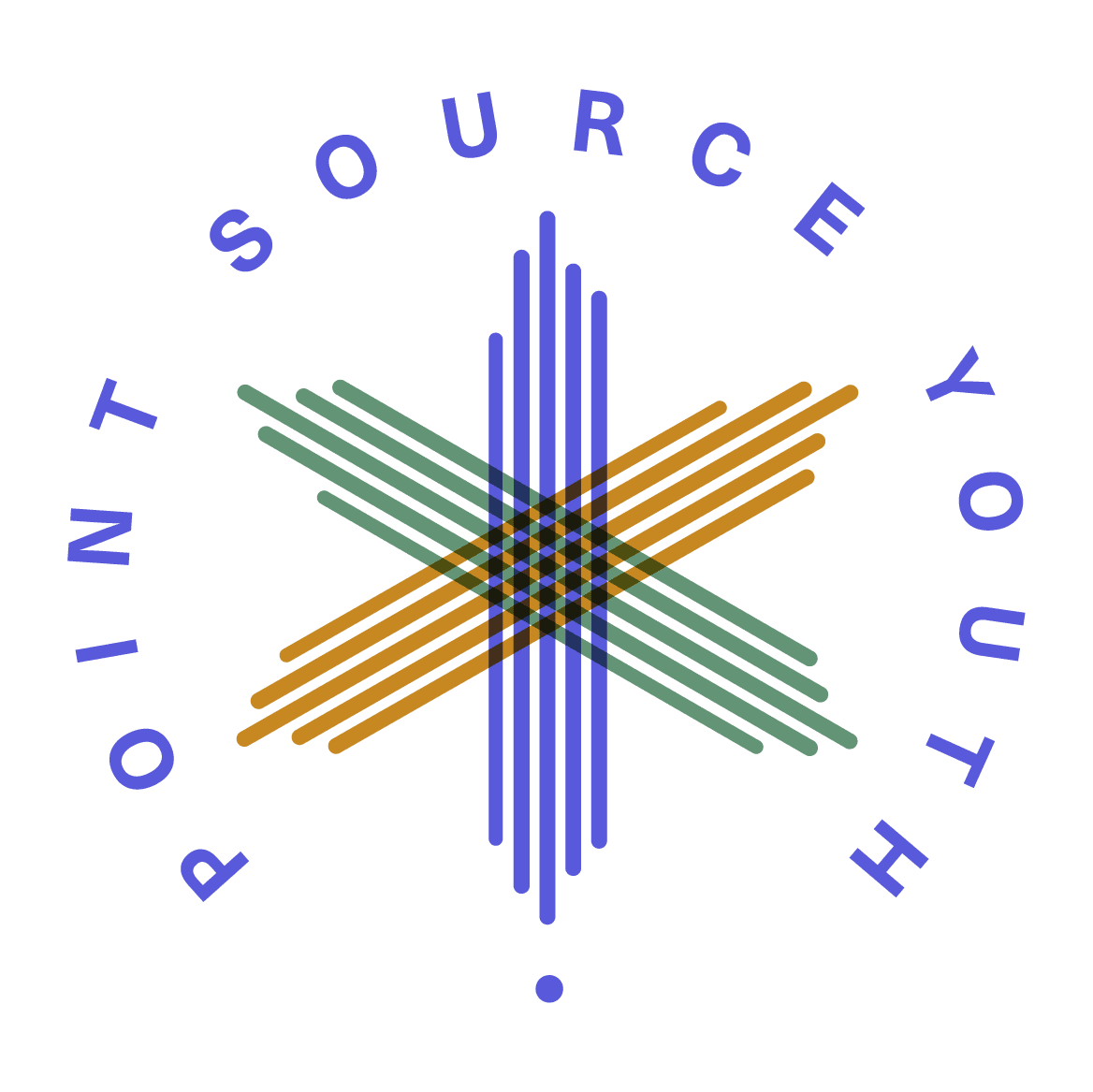Point Source Youth logo