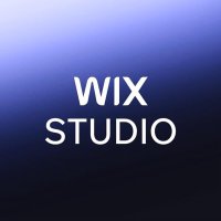 Wings of the Future logo