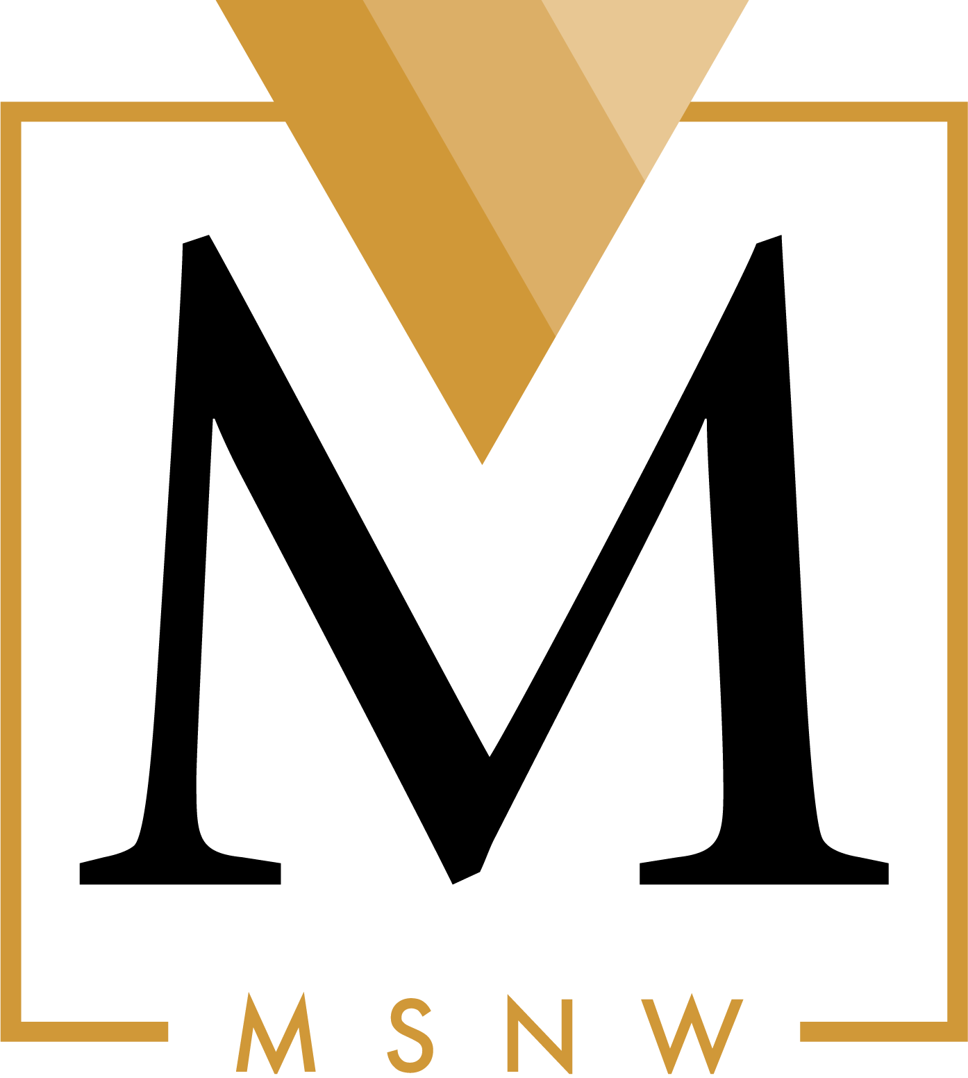 MSNW Group logo