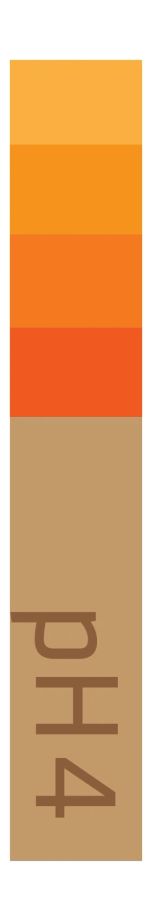 pH4 Food and Beverages logo