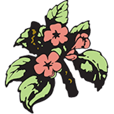 The Pattie Group logo