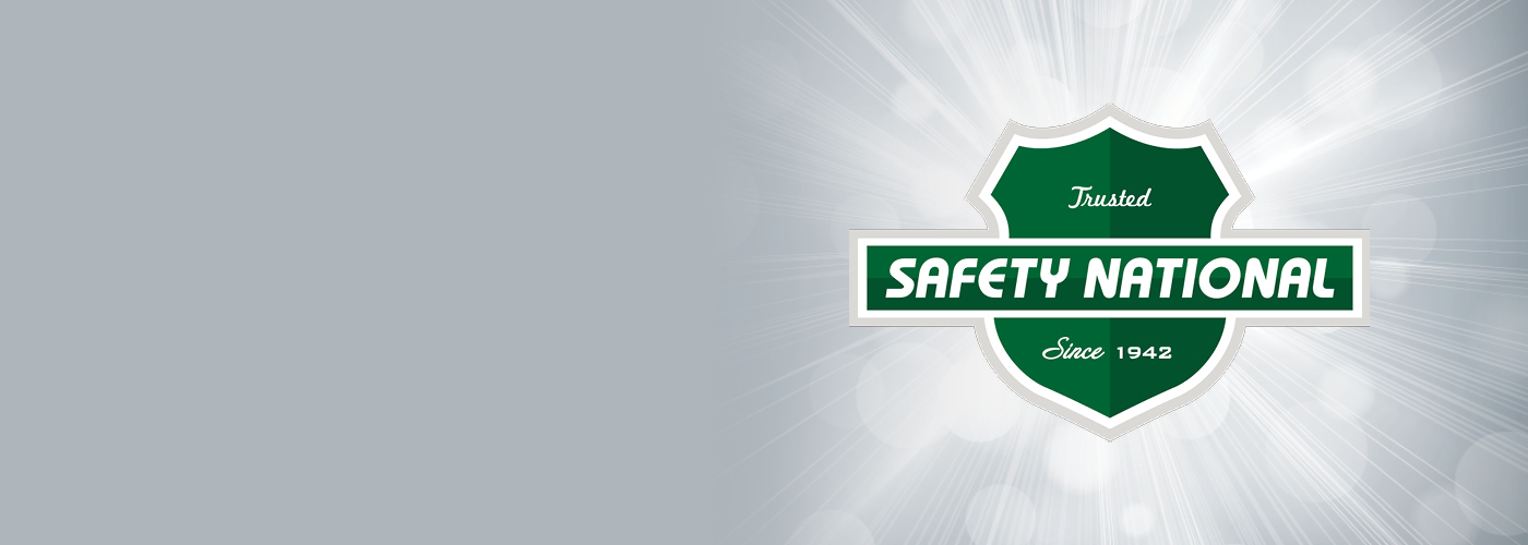 Safety National logo