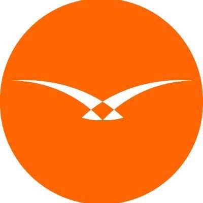 Hawk-Eye Innovations logo