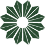 Community Options logo