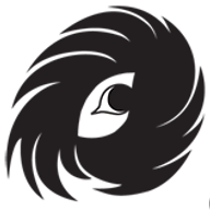 FNA Group logo