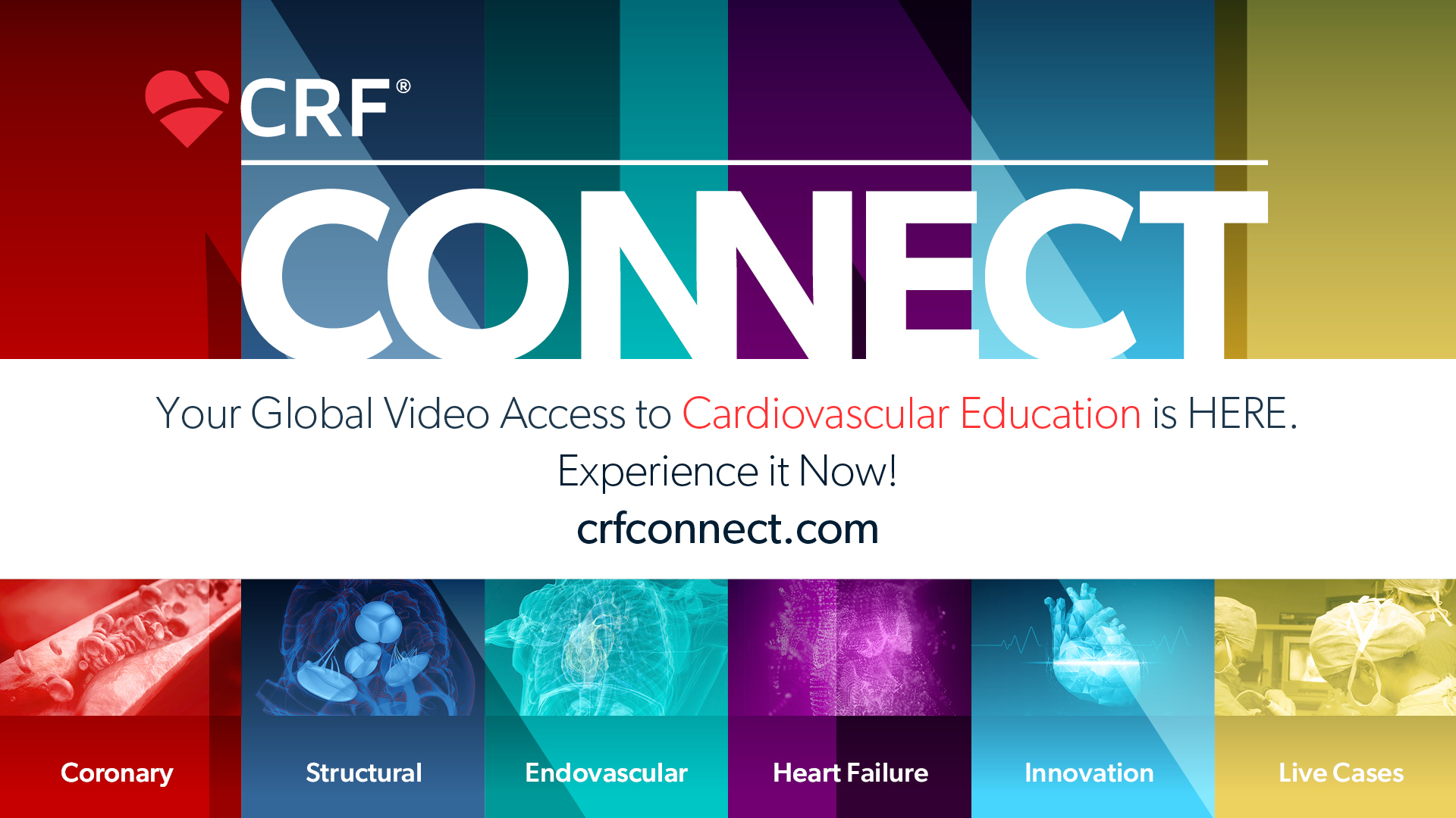 Cardiovascular Research Foundation logo