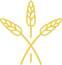 Fairmount Homes logo