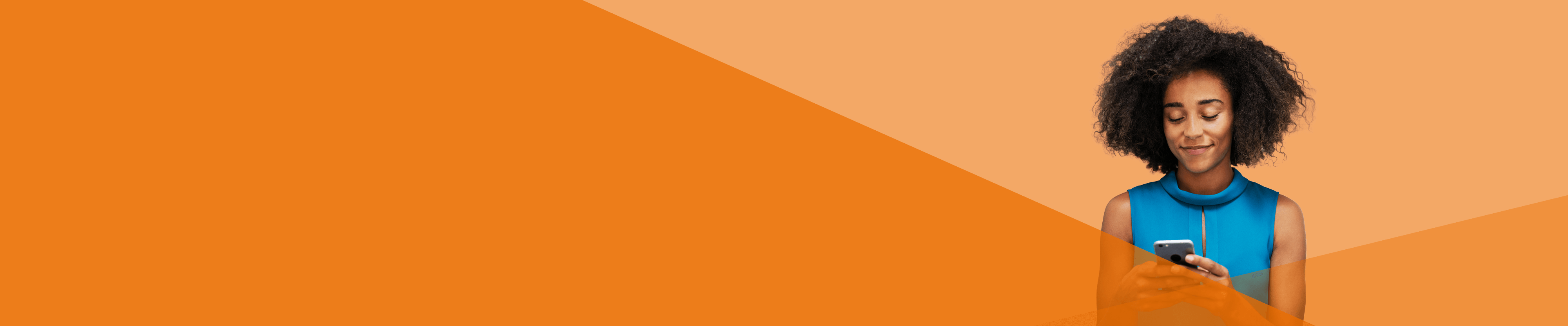 NEC Software Solutions logo