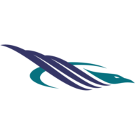 Carson Air logo