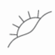 Sunsational Solutions logo