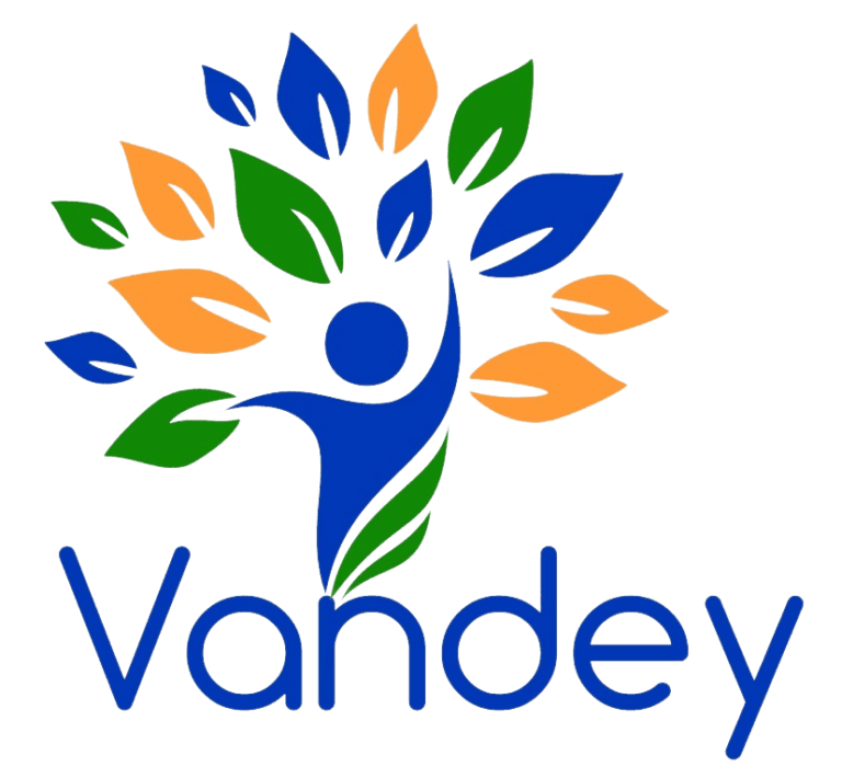 Vandey Global Services logo