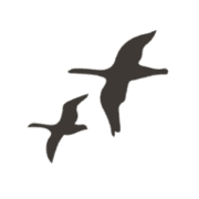 Headlands Coastal Lodge & Spa logo
