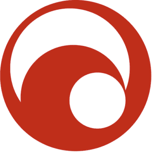 Networking For Future logo