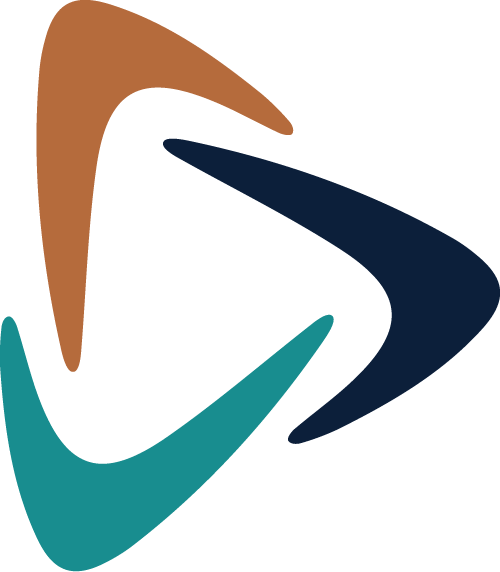 Boomerang Healthcare logo